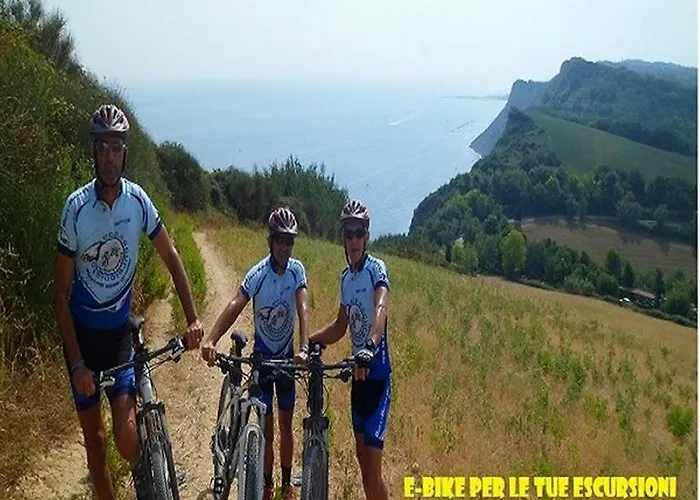 Hotel Sahib Hotel 3*